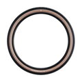 Neumático SCHWALBE RICK XC PRO (62-622) 29x2.40 Evolution 67EPI 760g Transparente TLR Speed ​​NUEVO25