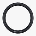 Neumático SCHWALBE RICK XC PRO (57-622) 29x2.25 Evolution 67EPI 680g Negro TLR SpeedGrip NEW25