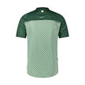 Maillot FUJIMI verde