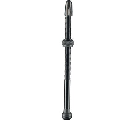 Válvula SCHWALBE Tubeless par 100mm