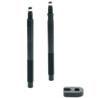 Extensiones de válvula SCHWALBE Tubeless 65mm par