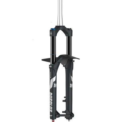 SR SUNTOUR Horquilla SF25 DUROLUX 38X EVO-Boost-EQ-RC+ 170mm 15AH2 29" CTS negro