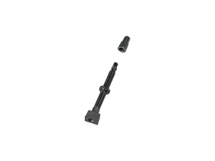 Válvula Bontrager Tubeless para neumáticos sin cámara de 55 mm