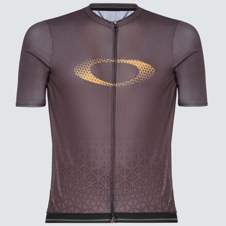 Camiseta Oakley Endurance gris 2022